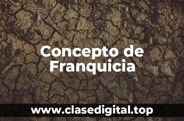 Concepto de Franquicia