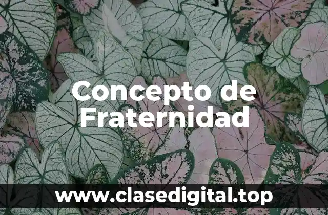 Concepto de Fraternidad