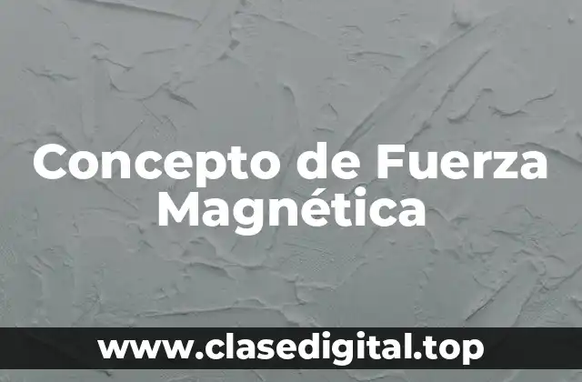 Concepto de Fuerza Magnética