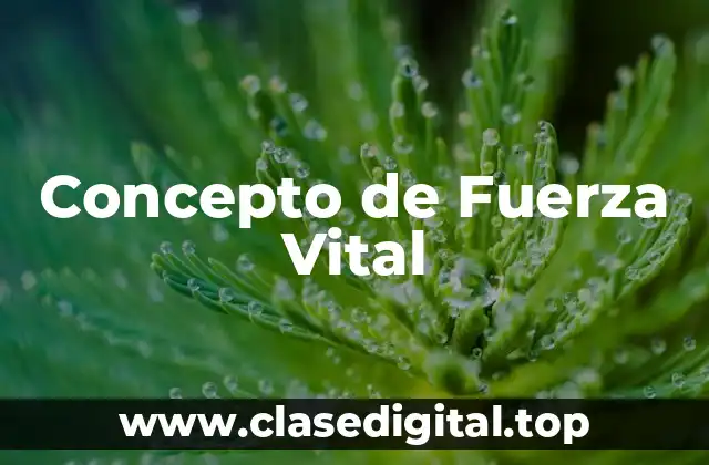 Concepto de Fuerza Vital