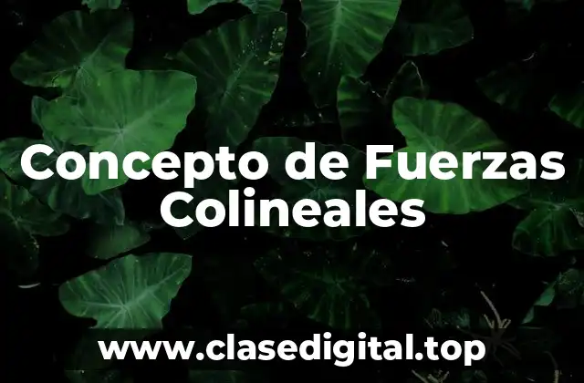 Concepto de Fuerzas Colineales