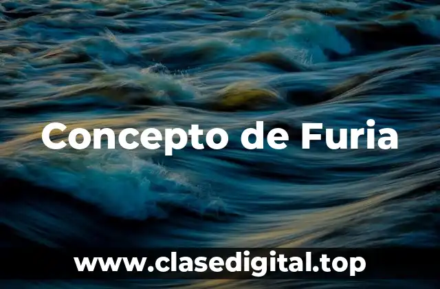 Concepto de Furia