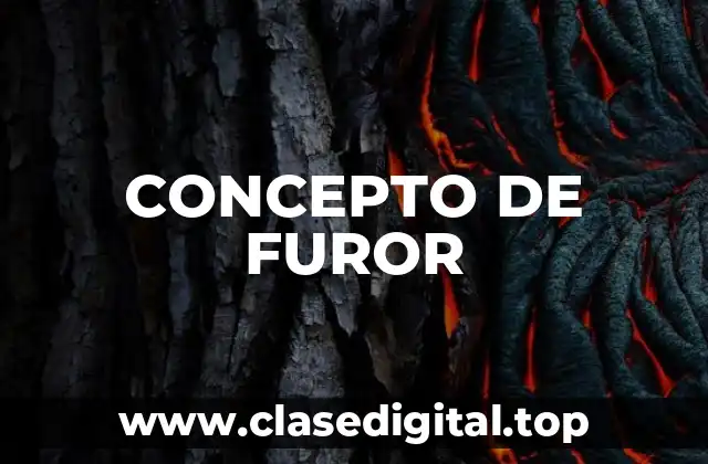 CONCEPTO DE FUROR