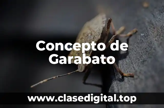 Concepto de Garabato