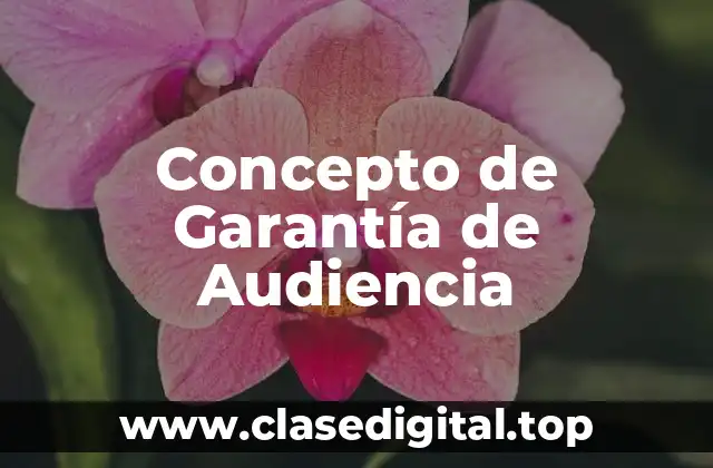 Concepto de Garantía de Audiencia