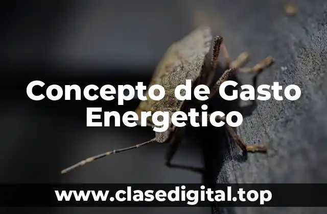 Concepto de Gasto Energetico