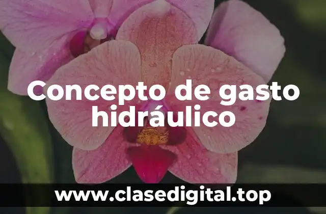 Concepto de gasto hidráulico