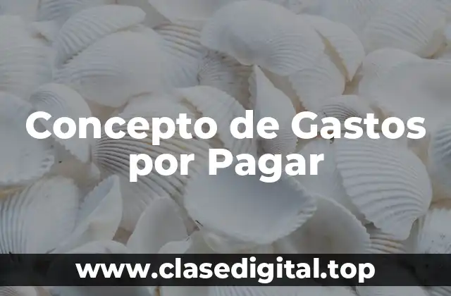 ❇️ ¿Qué es un Gasto por Pagar?