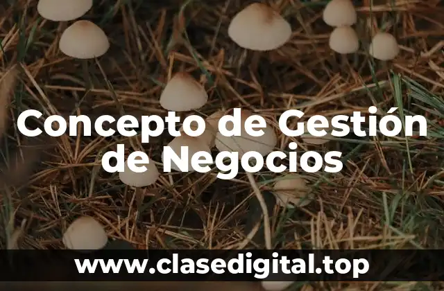 Concepto de Gestión de Negocios