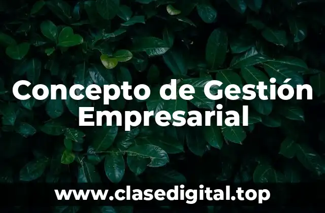 Concepto de Gestión Empresarial