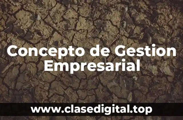 Concepto de Gestion Empresarial