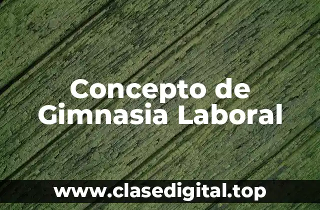 Concepto de Gimnasia Laboral