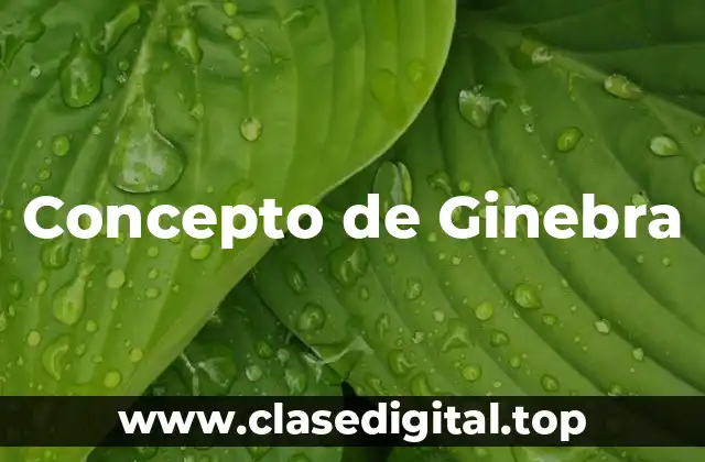 Concepto de Ginebra