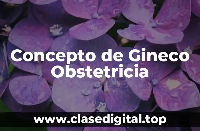 Concepto de Gineco Obstetricia