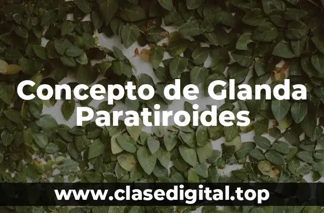 Concepto de Glanda Paratiroides