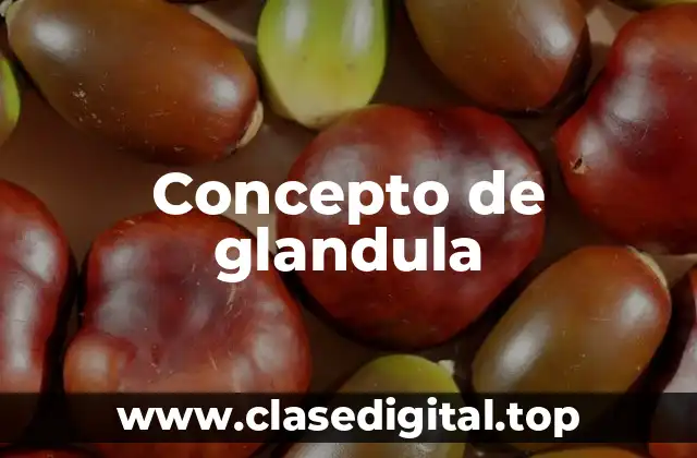 Concepto de glandula