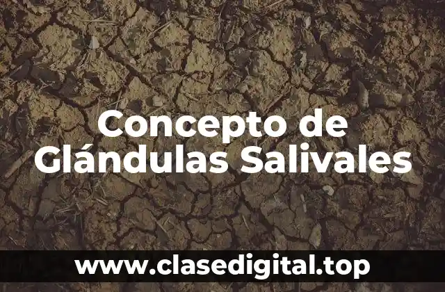 Concepto de Glándulas Salivales
