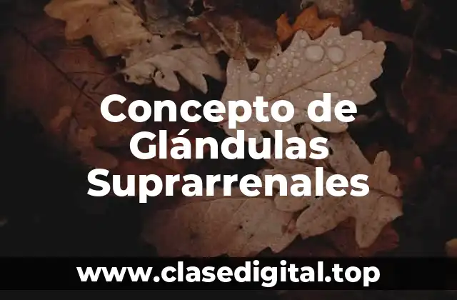 📗 Concepto de Glándulas Suprarrenales