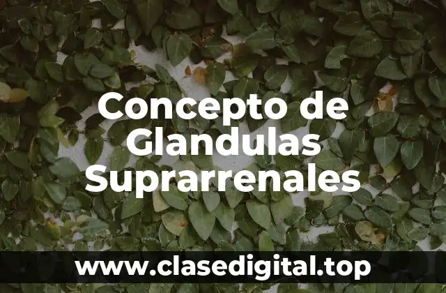 Concepto de Glandulas Suprarrenales
