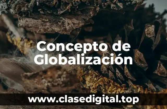 Concepto de Globalización