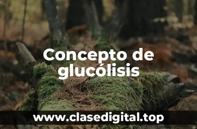 Concepto de glucólisis