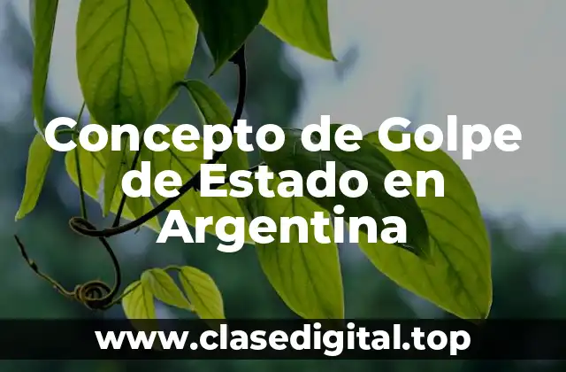 📗 Concepto de Golpe de Estado