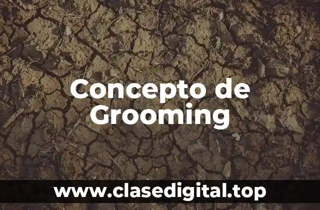 Concepto de Grooming