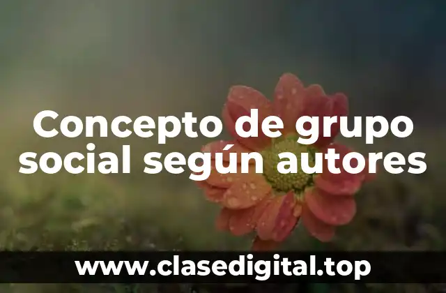 Concepto de grupo social según autores
