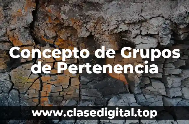 Concepto de Grupos de Pertenencia