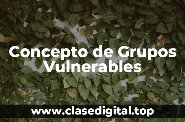 Concepto de Grupos Vulnerables