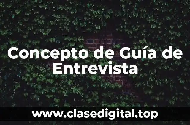 Concepto de Guía de Entrevista