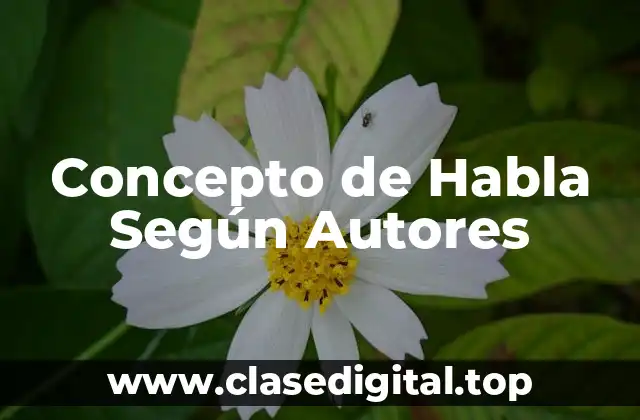 Concepto de Habla Según Autores