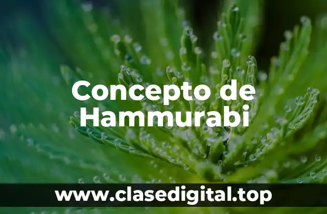 Concepto de Hammurabi