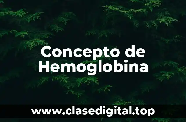 ❇️ Concepto de Hemoglobina