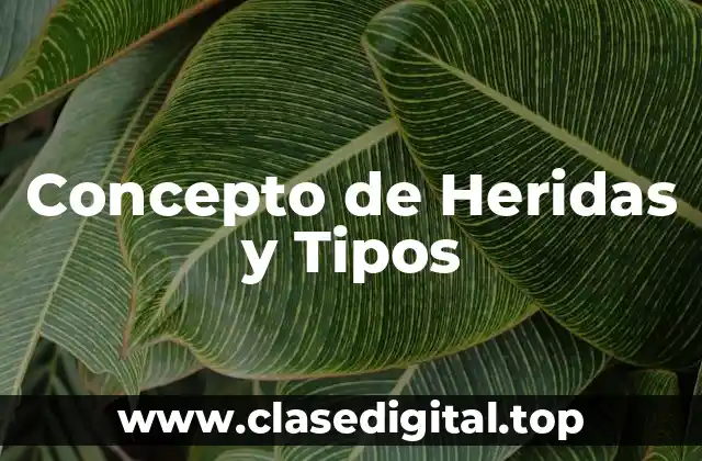 Concepto de Heridas y Tipos