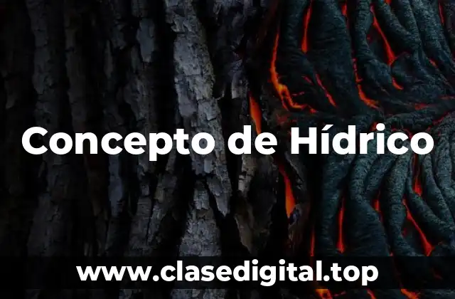 Concepto de Hídrico