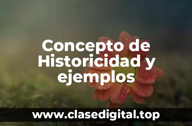 Concepto de Historicidad y ejemplos