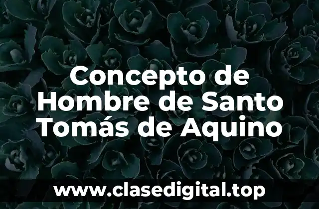 Concepto de Hombre de Santo Tomás de Aquino