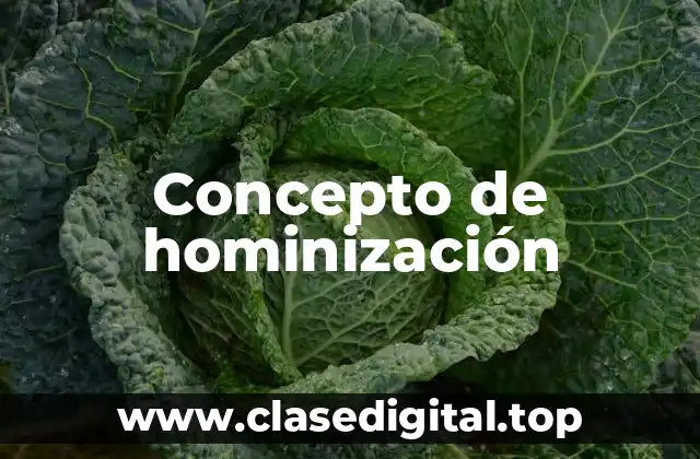 Concepto de hominización