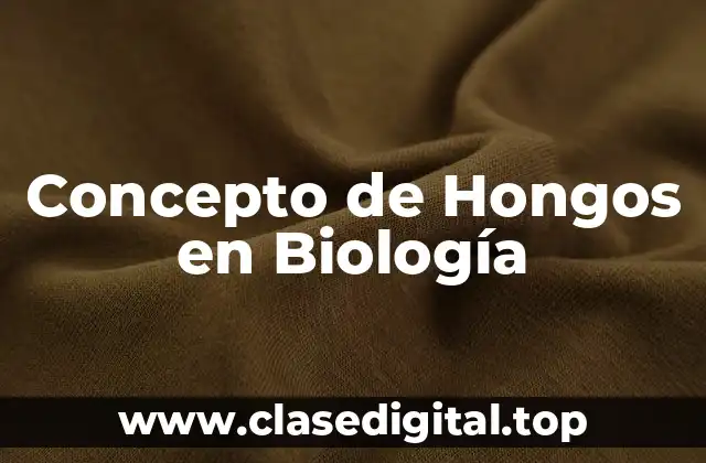 Concepto de Hongos en Biología