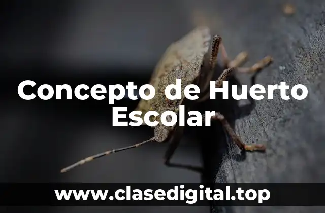 Concepto de Huerto Escolar