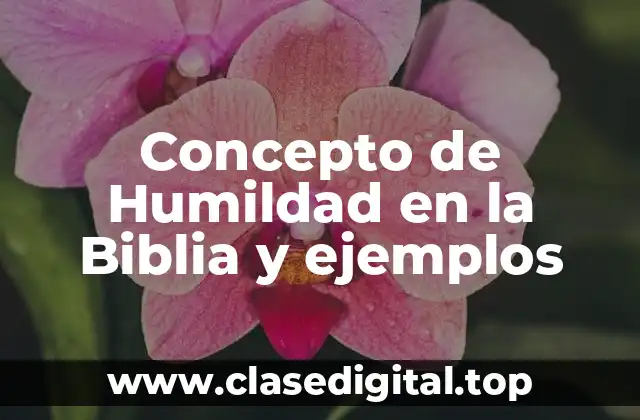 Concepto de Humildad en la Biblia y ejemplos