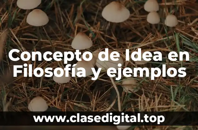 Concepto de Idea en Filosofía y ejemplos