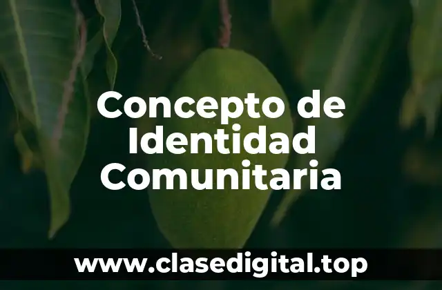 Concepto de Identidad Comunitaria