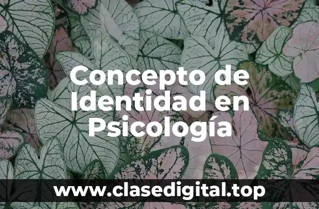 Concepto de Identidad en Psicología