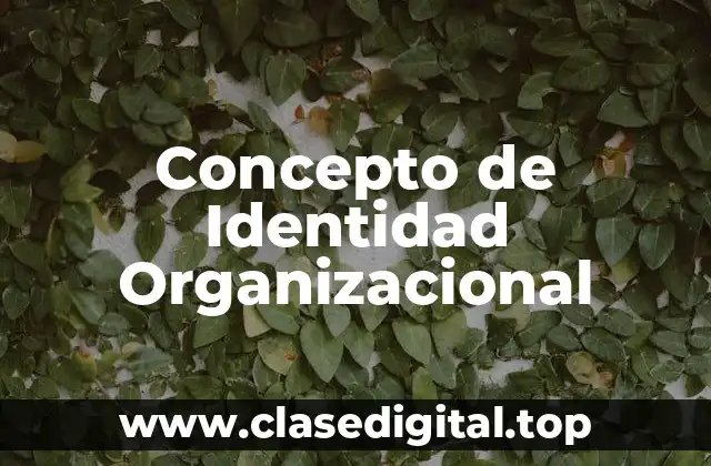Concepto de Identidad Organizacional