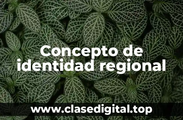 Concepto de identidad regional