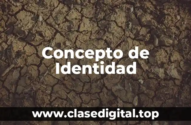 Concepto de Identidad