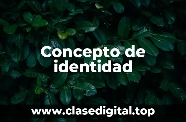 📗 Concepto de identidad