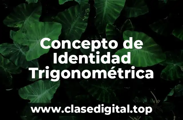 Concepto de Identidad Trigonométrica